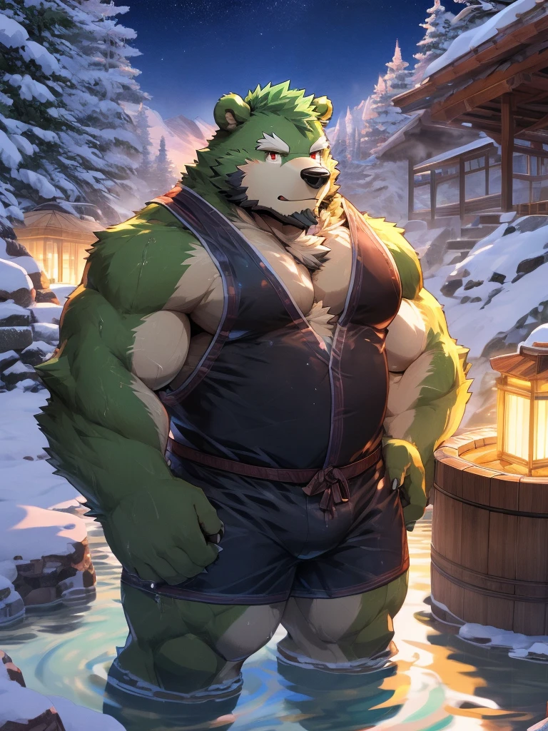 masterpiece, high quality, anime, detailed eyes, male jinpei, anthro, bear, Great physique, strong arms manly, (((green bear))), (((green fur))), green hair, beard, white eyebrows, bald, detailed red eyes, tall, Joyful, by zixiong, onsen, hotspring, snow, forest, outdoor, rock, scenary, steam, (partially submerged), mount fuji, naked, bare body, Entering the open-air bath、hot onsen, water vapour, Night (Illustration: 1.0), epic composition, Realistic lighting, HD details, masutepiece, Best Quality, (extremely detailed CG unified 8k wallpaper), (masterpiece:1.2), (best quality:1.3), shallow_sunset, standing, cowboy_shot, straw_hat, swimsuit, shorts, flower, starfish,