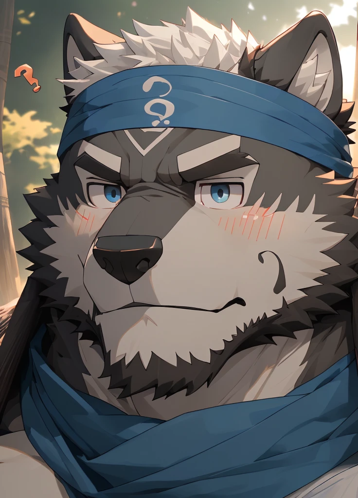 (masterpiece),(Very detailed),(best quality),hairy,Wolf,Dark black fur,white hair,Gray pupil,Muscular,(Japan samurai attire),((blue scarf)),((Brown headband)),(blush:1.1),A puzzled expression,(question mark),((Ultra HD close-up:1.4)),8K,(high quality),(Ultra high quality),(Super detailed),(Best Works)