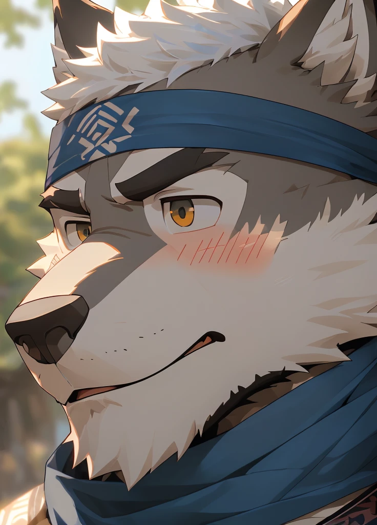 (masterpiece),(Very detailed),(best quality),hairy,Wolf,Dark black fur,white hair,Gray pupil,Muscular,(Japan samurai attire),((blue scarf)),((Brown headband)),(blush:1.1),A puzzled expression,(question mark),((Ultra HD close-up:1.4)),8K,(high quality),(Ultra high quality),(Super detailed),(Best Works)