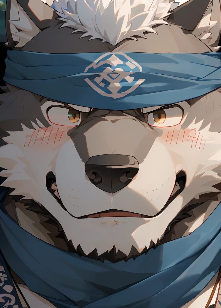 (masterpiece)，(Very detailed)，(best quality)，hairy，Wolf，Dark black fur，white hair，Gray pupil，Muscular，(Japan samurai attire)，((blue scarf))，((Brown headband))，(blush:1.1)，A puzzled expression，(question mark)，((Ultra HD close-up:1.4))，8K，(high quality)，(Ultra high quality)，(Super detailed)，(Best Works)