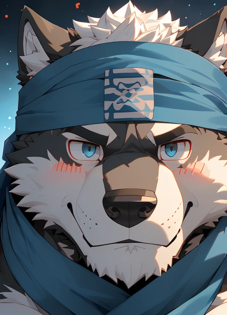 (masterpiece),(Very detailed),(best quality),hairy,Wolf,Dark black fur,white hair,Gray pupil,Muscular,(Japan samurai attire),((blue scarf)),((Brown headband)),(blush:1.1),A puzzled expression,(question mark),((Ultra HD close-up:1.4)),8K,(high quality),(Ultra high quality),(Super detailed),(Best Works)