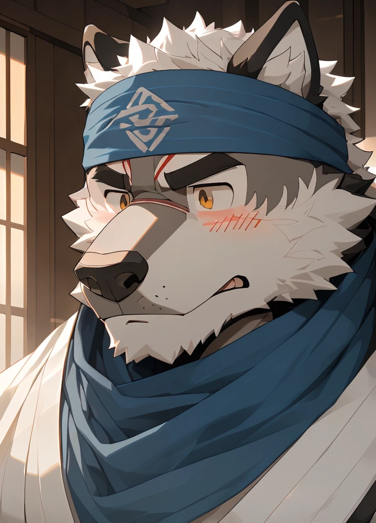 (masterpiece),(Very detailed),(best quality),hairy,Wolf,Dark black fur,white hair,Gray pupil,Muscular,(Japan samurai attire),((blue scarf)),((Brown headband)),(blush:1.1),A puzzled expression,(question mark),((Ultra HD close-up:1.4)),8K,(high quality),(Ultra high quality),(Super detailed),(Best Works)