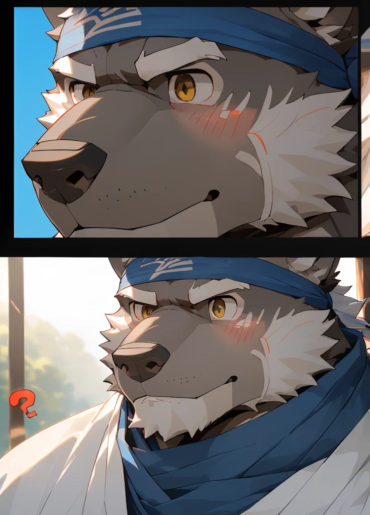 (masterpiece)，(Very detailed)，(best quality)，hairy，Wolf，Dark black fur，white hair，Gray pupil，Muscular，(Japan samurai attire)，((blue scarf))，((Brown headband))，(blush:1.1)，A puzzled expression，(question mark)，((Ultra HD close-up:1.4))，8K，(high quality)，(Ultra high quality)，(Super detailed)，(Best Works)