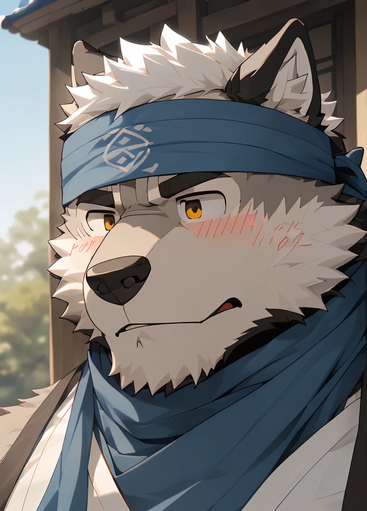 (masterpiece),(Very detailed),(best quality),hairy,Wolf,Dark black fur,white hair,Gray pupil,Muscular,(Japan samurai attire),((blue scarf)),((Brown headband)),(blush:1.1),A puzzled expression,(question mark),((Ultra HD close-up:1.4)),8K,(high quality),(Ultra high quality),(Super detailed),(Best Works)