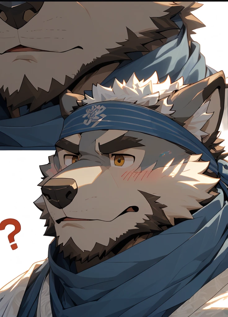 (masterpiece),(Very detailed),(best quality),hairy,Wolf,Dark black fur,white hair,Gray pupil,Muscular,(Japan samurai attire),((blue scarf)),((Brown headband)),(blush:1.1),A puzzled expression,(question mark),((Ultra HD close-up:1.4)),8K,(high quality),(Ultra high quality),(Super detailed),(Best Works)