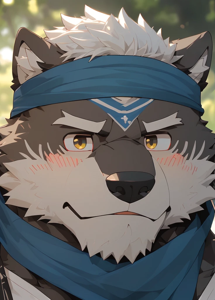 (masterpiece)，(Very detailed)，(best quality)，hairy，Wolf，Dark black fur，white hair，Gray pupil，Muscular，(Japan samurai attire)，((blue scarf))，((Brown headband))，(blush:1.1)，A puzzled expression，(question mark)，((Ultra HD close-up:1.4))，8K，(high quality)，(Ultra high quality)，(Super detailed)，(Best Works)