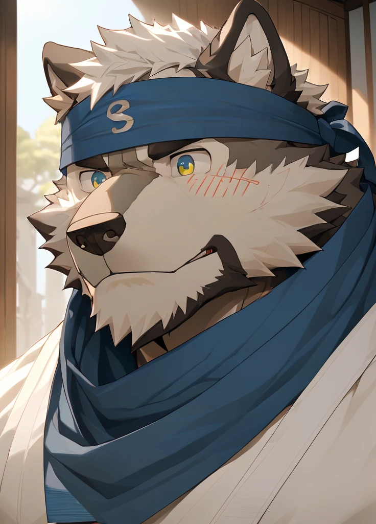 (masterpiece)，(Very detailed)，(best quality)，hairy，Wolf，Dark black fur，white hair，Gray pupil，Muscular，(Japan samurai attire)，((blue scarf))，((Brown headband))，(blush:1.1)，A puzzled expression，(question mark)，((Ultra HD close-up:1.4))，8K，(high quality)，(Ultra high quality)，(Super detailed)，(Best Works)