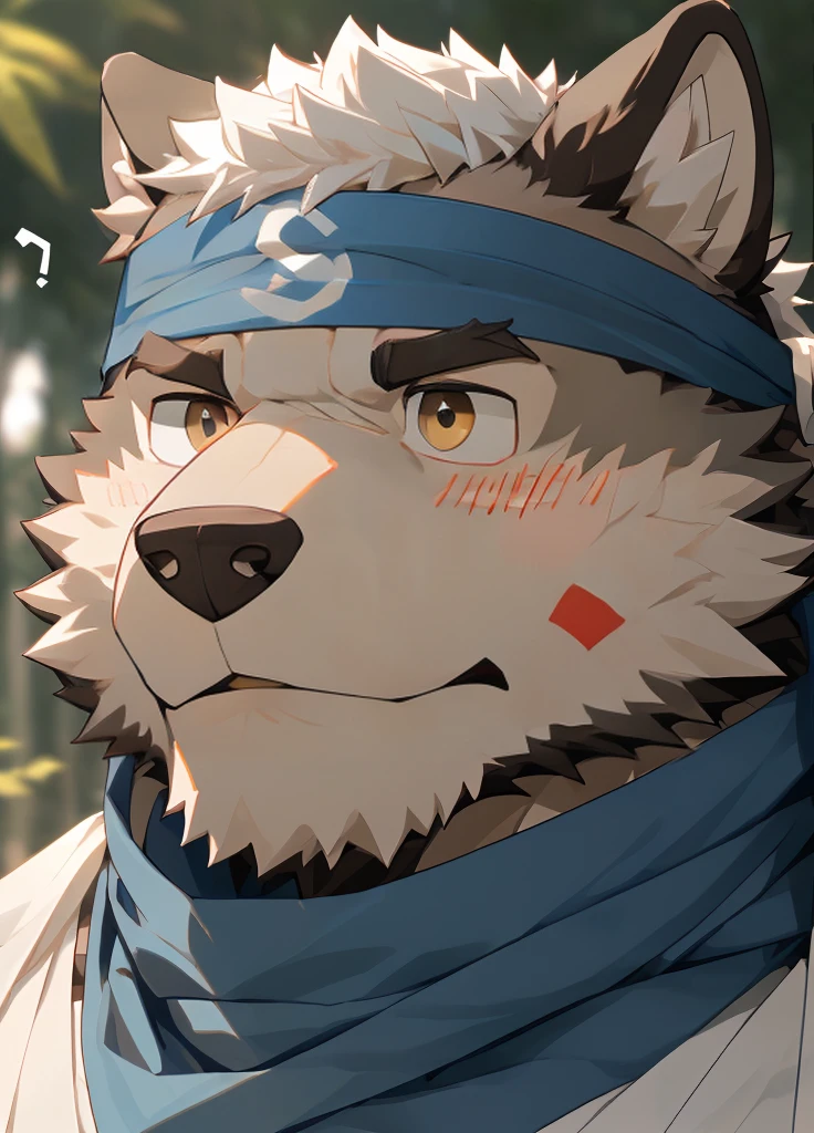 (masterpiece),(Very detailed),(best quality),hairy,Wolf,Dark black fur,white hair,Gray pupil,Muscular,(Japan samurai attire),((blue scarf)),((Brown headband)),(blush:1.1),A puzzled expression,(question mark),((Ultra HD close-up:1.4)),8K,(high quality),(Ultra high quality),(Super detailed),(Best Works)