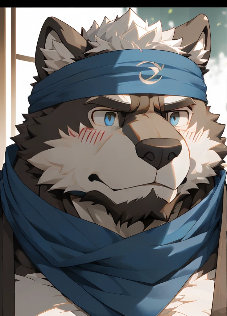 (masterpiece)，(Very detailed)，(best quality)，hairy，Wolf，Dark black fur，white hair，Gray pupil，Muscular，(Japan samurai attire)，((blue scarf))，((Brown headband))，(blush:1.1)，A puzzled expression，(question mark)，((Ultra HD close-up:1.4))，8K，(high quality)，(Ultra high quality)，(Super detailed)，(Best Works)