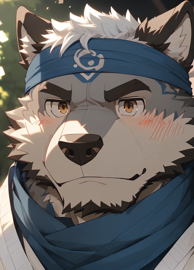(masterpiece),(Very detailed),(best quality),hairy,Wolf,Dark black fur,white hair,Gray pupil,Muscular,(Japan samurai attire),((blue scarf)),((Brown headband)),(blush:1.1),A puzzled expression,(question mark),((Ultra HD close-up:1.4)),8K,(high quality),(Ultra high quality),(Super detailed),(Best Works)