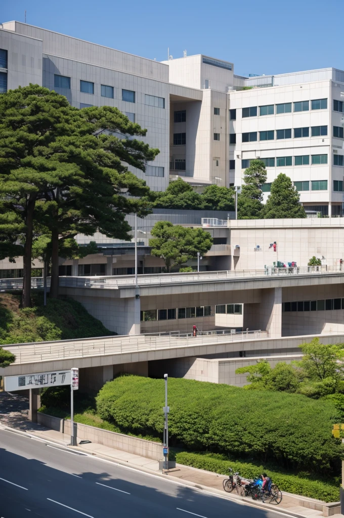 Japanese university hospitals are large