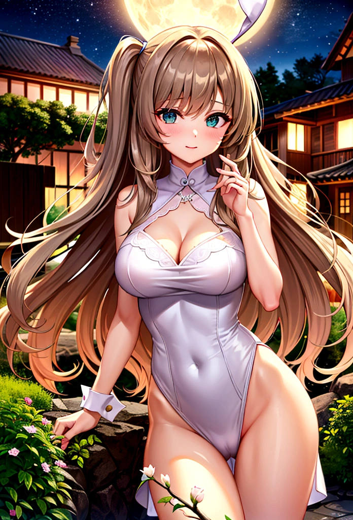 ((masterpiece)), ((best quality)), (ultra-detailed), ((extremely detailed)), 4K, (8K), best quality, (beautiful), a pretty woman, solo, beautiful light brown hair, beautiful green eyes, ((beautiful eyes)), triumphant look, smug look, self-satisfied look ,Masterpiece、White dress、Highest quality、Bunny ears、Tanned woman with big 、Brown Hair、Long Wavy Hair、White shirt、Black Bra、Black panties、Hot spring inn、a bright moon shines over beautiful scenery of garden and river in night time, moon, architecture, tree, east asian architecture, full moon, scenery, night, cloud, sky、Lots of rabbits