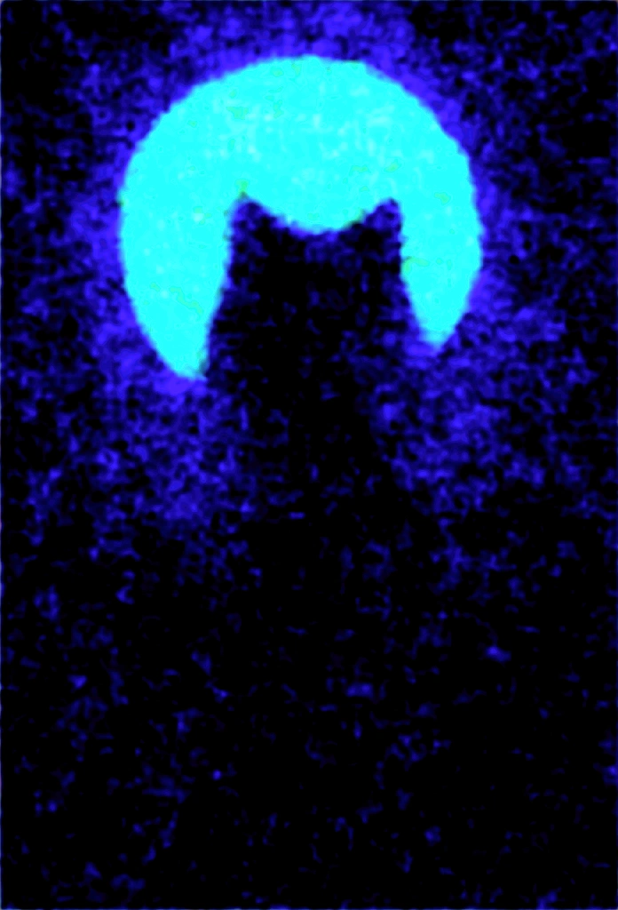 Furry Cat is an imposing anthropomorphic black cat with glowing deep blue eyes that appear to contain twinkling stars. Its fur is soft and glossy, with a shine in the moonlight. He has long, pointed ears, and his claws are sharp and silver, and wears a purple cloak decorated with ancient runes that glow softly. Around his neck, he wears a necklace with a crescent-shaped pendant, looking at the moon over a calm landscape being illuminated by the moon, holding a scepter, digital art
