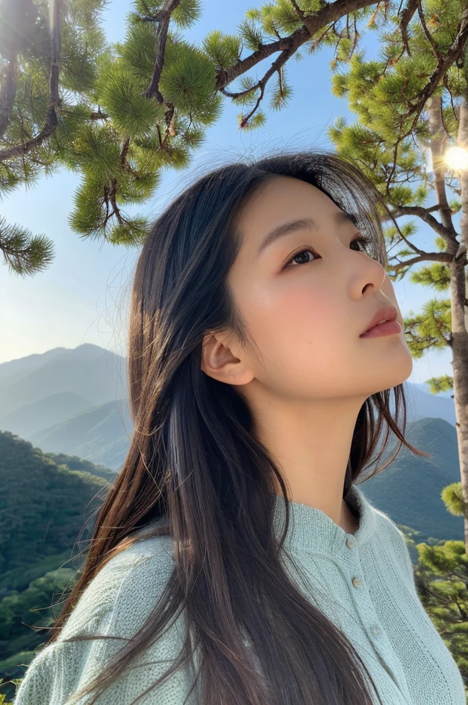 ((Highest quality)), ((masterpiece)), (detailed),Perfect Face,Japanese,landscape,Beauty