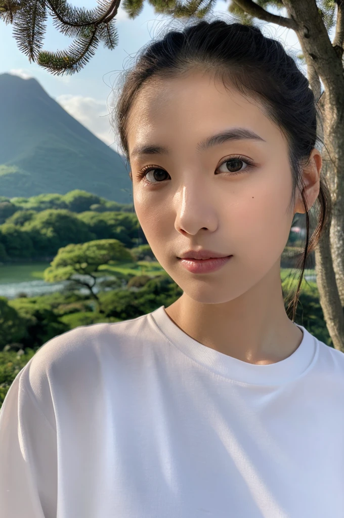((Highest quality)), ((masterpiece)), (detailed),Perfect Face,Japanese,landscape,Beauty