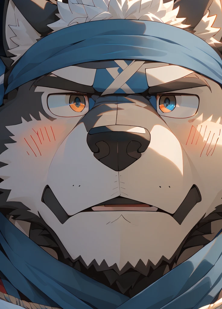 (masterpiece)，(Very detailed)，(best quality)，hairy，Wolf，Dark black fur，white hair，Gray pupil，Muscular，(Japan samurai attire)，((blue scarf))，((Brown headband))，(blush:1.1)，(A puzzled expression:1.2)，((question mark:1.3))，((Ultra HD close-up:1.4))，8K，(high quality)，(Ultra high quality)，(Super detailed)，(Best Works)