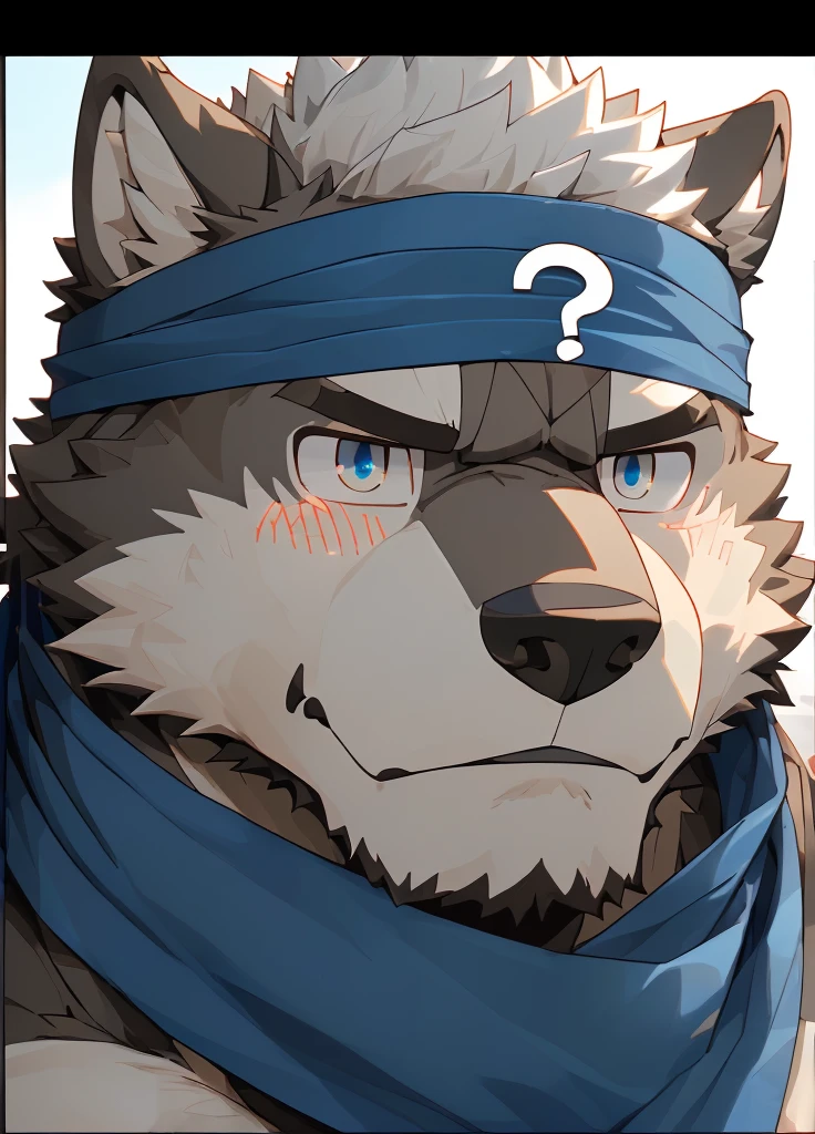 (masterpiece),(Very detailed),(best quality),hairy,Wolf,Dark black fur,white hair,Gray pupil,Muscular,(Japan samurai attire),((blue scarf)),((Brown headband)),(blush:1.1),(A puzzled expression:1.2),((question mark:1.3)),((Ultra HD close-up:1.4)),8K,(high quality),(Ultra high quality),(Super detailed),(Best Works)