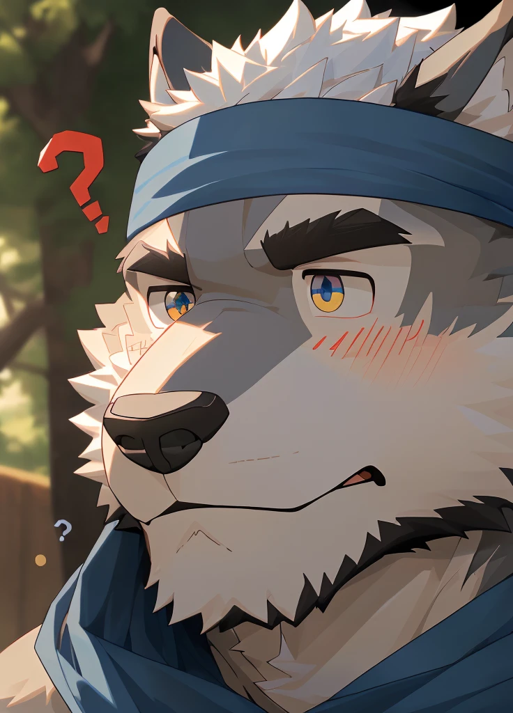 (masterpiece),(Very detailed),(best quality),hairy,Wolf,Dark black fur,white hair,Gray pupil,Muscular,(Japan samurai attire),((blue scarf)),((Brown headband)),(blush:1.1),(A puzzled expression:1.2),((question mark:1.3)),((Ultra HD close-up:1.4)),8K,(high quality),(Ultra high quality),(Super detailed),(Best Works)