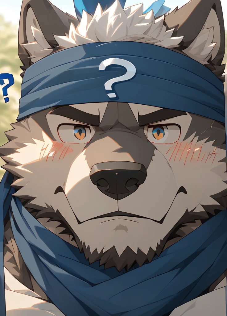 (masterpiece),(Very detailed),(best quality),hairy,Wolf,Dark black fur,white hair,Gray pupil,Muscular,(Japan samurai attire),((blue scarf)),((Brown headband)),(blush:1.1),(A puzzled expression:1.2),((question mark:1.3)),((Ultra HD close-up:1.4)),8K,(high quality),(Ultra high quality),(Super detailed),(Best Works)