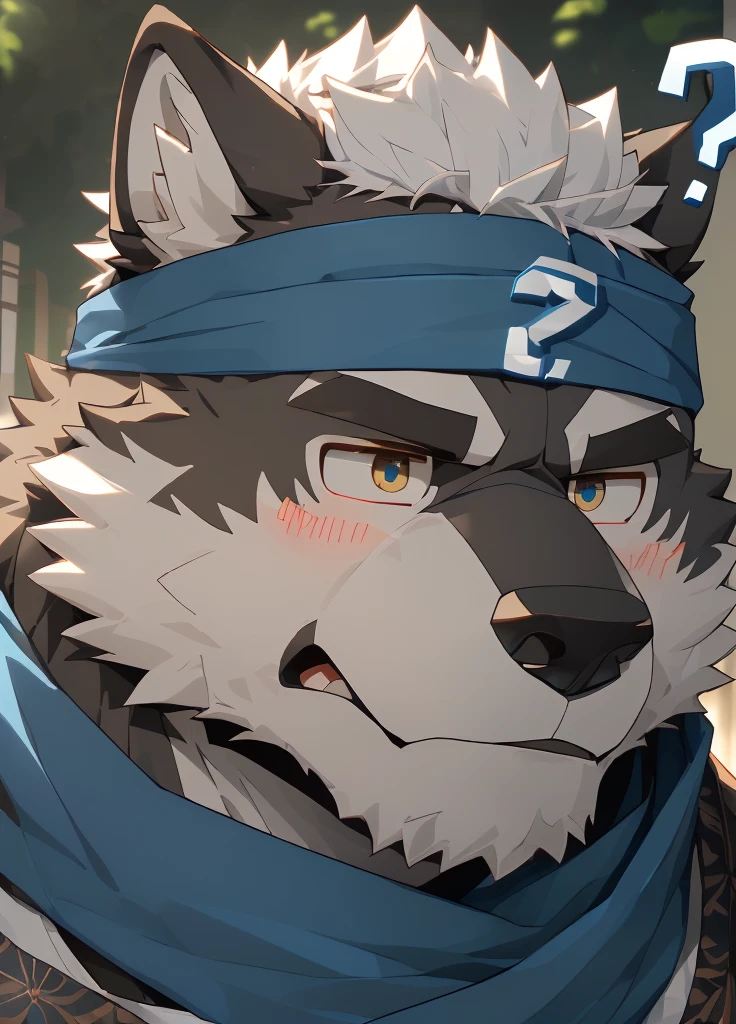 (masterpiece),(Very detailed),(best quality),hairy,Wolf,Dark black fur,white hair,Gray pupil,Muscular,(Japan samurai attire),((blue scarf)),((Brown headband)),(blush:1.1),(A puzzled expression:1.2),((question mark:1.3)),((Ultra HD close-up:1.4)),8K,(high quality),(Ultra high quality),(Super detailed),(Best Works)