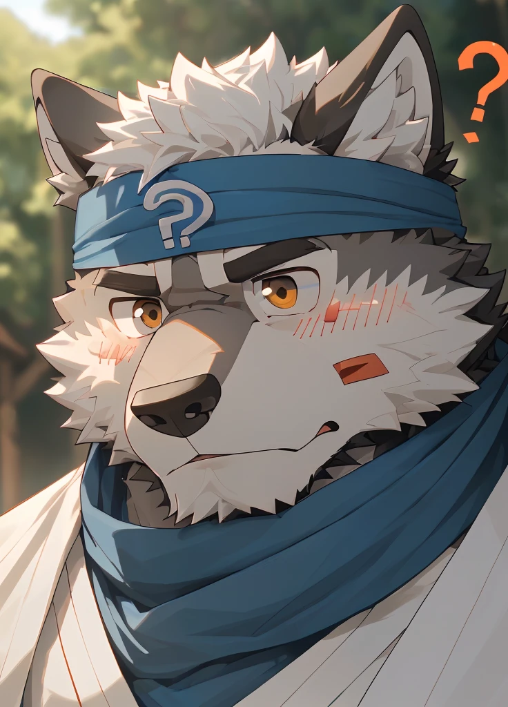 (masterpiece),(Very detailed),(best quality),hairy,Wolf,Dark black fur,white hair,Gray pupil,Muscular,(Japan samurai attire),((blue scarf)),((Brown headband)),(blush:1.1),(A puzzled expression:1.2),((question mark:1.3)),((Ultra HD close-up:1.4)),8K,(high quality),(Ultra high quality),(Super detailed),(Best Works)