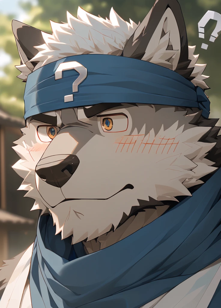 (masterpiece),(Very detailed),(best quality),hairy,Wolf,Dark black fur,white hair,Gray pupil,Muscular,(Japan samurai attire),((blue scarf)),((Brown headband)),(blush:1.1),(A puzzled expression:1.2),((question mark:1.3)),((Ultra HD close-up:1.4)),8K,(high quality),(Ultra high quality),(Super detailed),(Best Works)