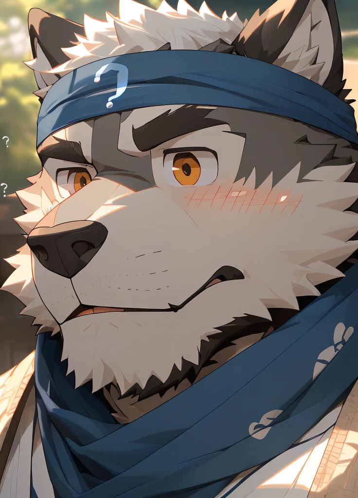 (masterpiece),(Very detailed),(best quality),hairy,Wolf,Dark black fur,white hair,Gray pupil,Muscular,(Japan samurai attire),((blue scarf)),((Brown headband)),(blush:1.1),(A puzzled expression:1.2),((question mark:1.3)),((Ultra HD close-up:1.4)),8K,(high quality),(Ultra high quality),(Super detailed),(Best Works)