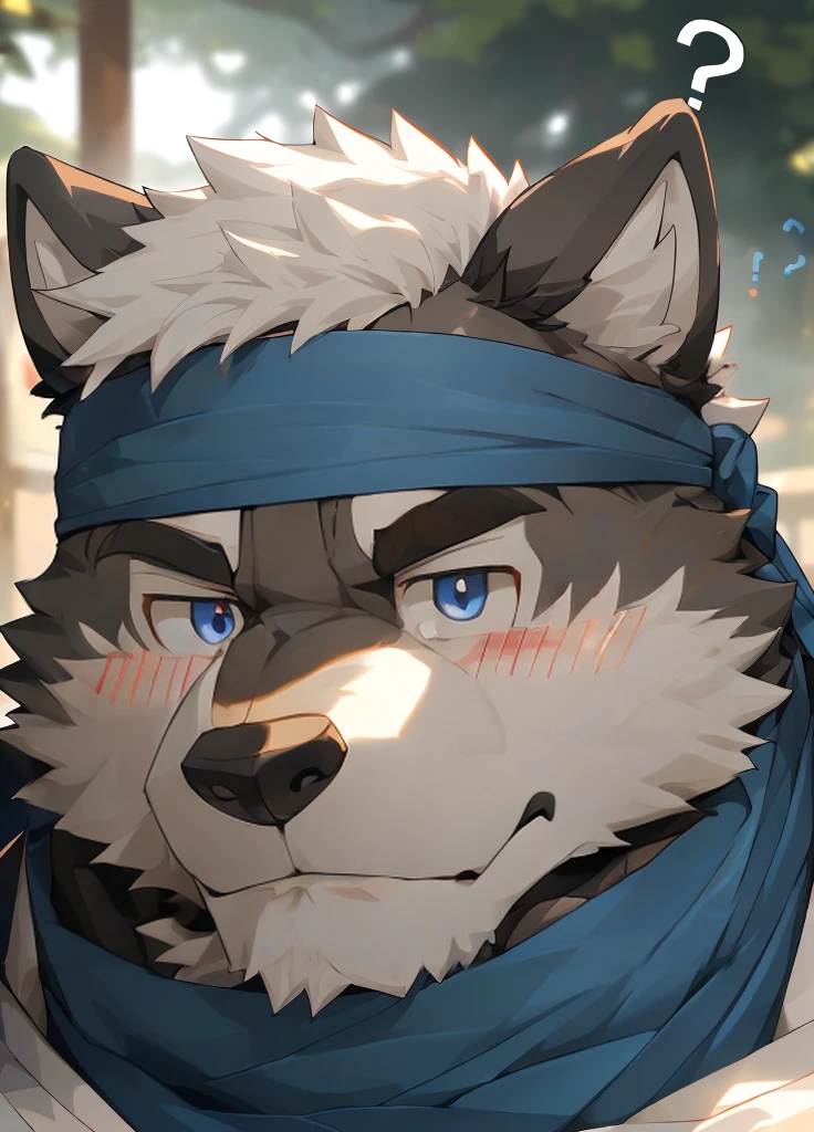 (masterpiece)，(Very detailed)，(best quality)，hairy，Wolf，Dark black fur，white hair，Gray pupil，Muscular，(Japan samurai attire)，((blue scarf))，((Brown headband))，(blush:1.1)，(A puzzled expression:1.2)，((question mark:1.3))，((Ultra HD close-up:1.4))，8K，(high quality)，(Ultra high quality)，(Super detailed)，(Best Works)