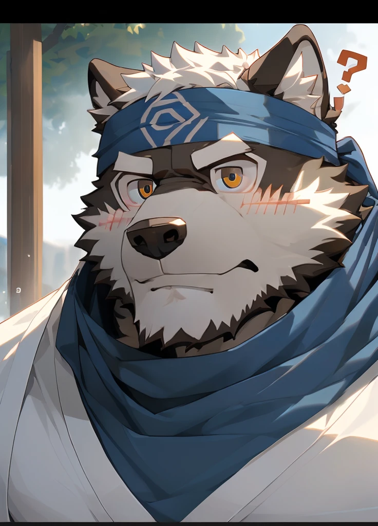 (masterpiece)，(Very detailed)，(best quality)，hairy，Wolf，Dark black fur，white hair，Gray pupil，Muscular，(Japan samurai attire)，((blue scarf))，((Brown headband))，(blush:1.1)，(A puzzled expression:1.2)，((question mark:1.3))，((Ultra HD close-up:1.4))，8K，(high quality)，(Ultra high quality)，(Super detailed)，(Best Works)