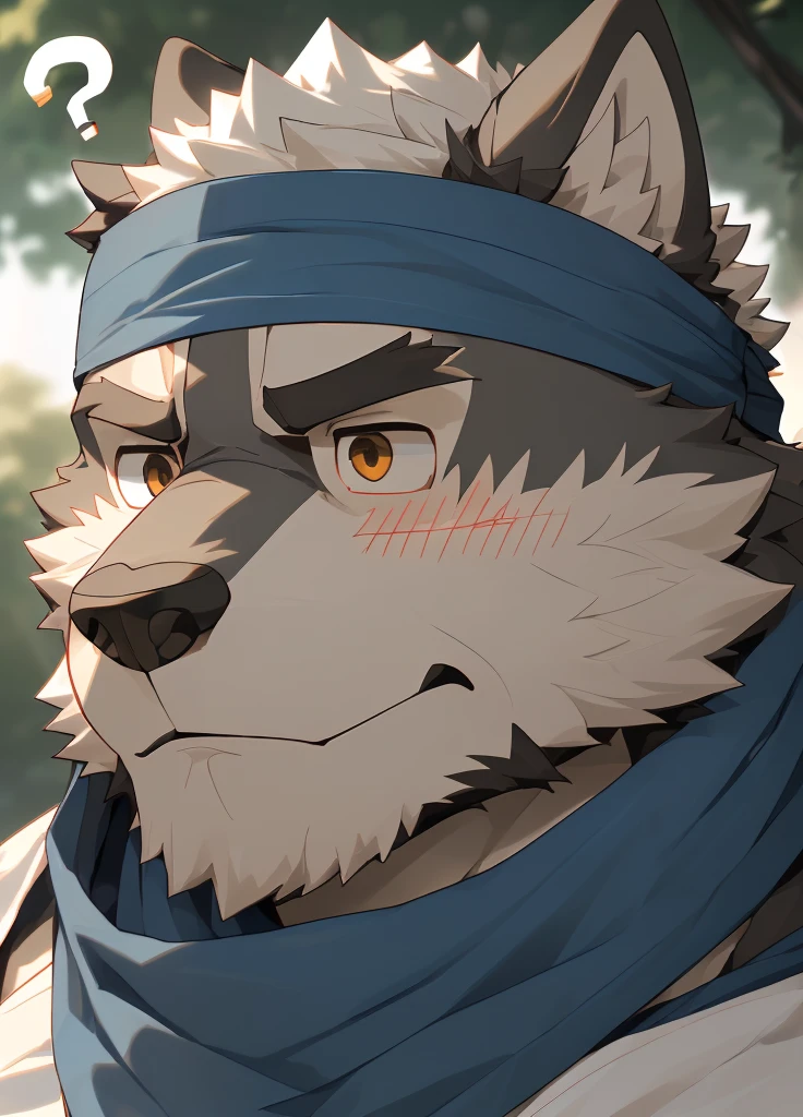 (masterpiece)，(Very detailed)，(best quality)，hairy，Wolf，Dark black fur，white hair，Gray pupil，Muscular，(Japan samurai attire)，((blue scarf))，((Brown headband))，(blush:1.1)，(A puzzled expression:1.2)，((question mark:1.3))，((Ultra HD close-up:1.4))，8K，(high quality)，(Ultra high quality)，(Super detailed)，(Best Works)