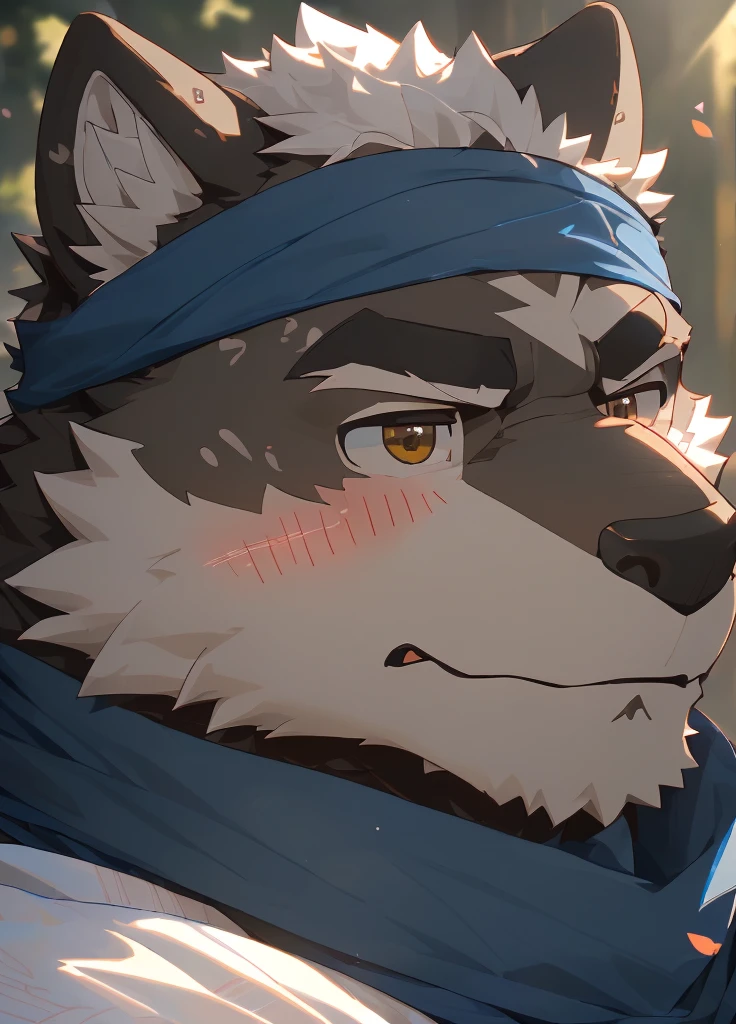 (masterpiece)，(Very detailed)，(best quality)，hairy，Wolf，Dark black fur，white hair，Gray pupil，Muscular，(Japan samurai attire)，((blue scarf))，((Brown headband))，(blush:1.1)，((sluggish:1.3))，((Ultra HD close-up:1.4))，8K，(high quality)，(Ultra high quality)，(Super detailed)，(Best Works)