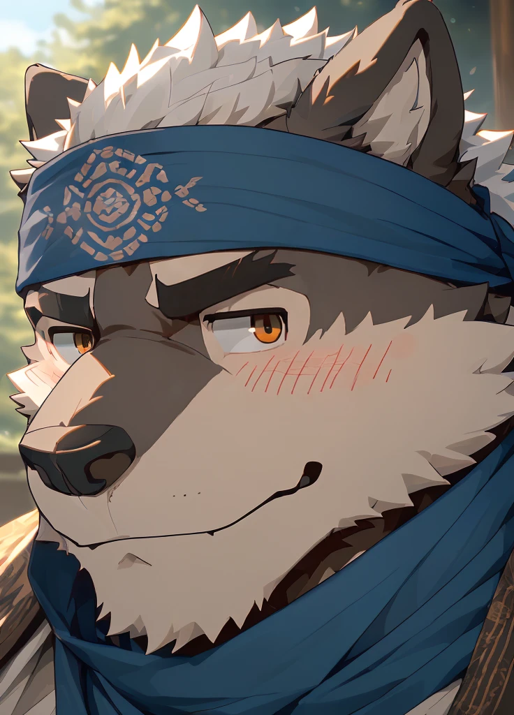 (masterpiece),(Very detailed),(best quality),hairy,Wolf,Dark black fur,white hair,Gray pupil,Muscular,(Japan samurai attire),((blue scarf)),((Brown headband)),(blush:1.1),((sluggish:1.3)),((Ultra HD close-up:1.4)),8K,(high quality),(Ultra high quality),(Super detailed),(Best Works)