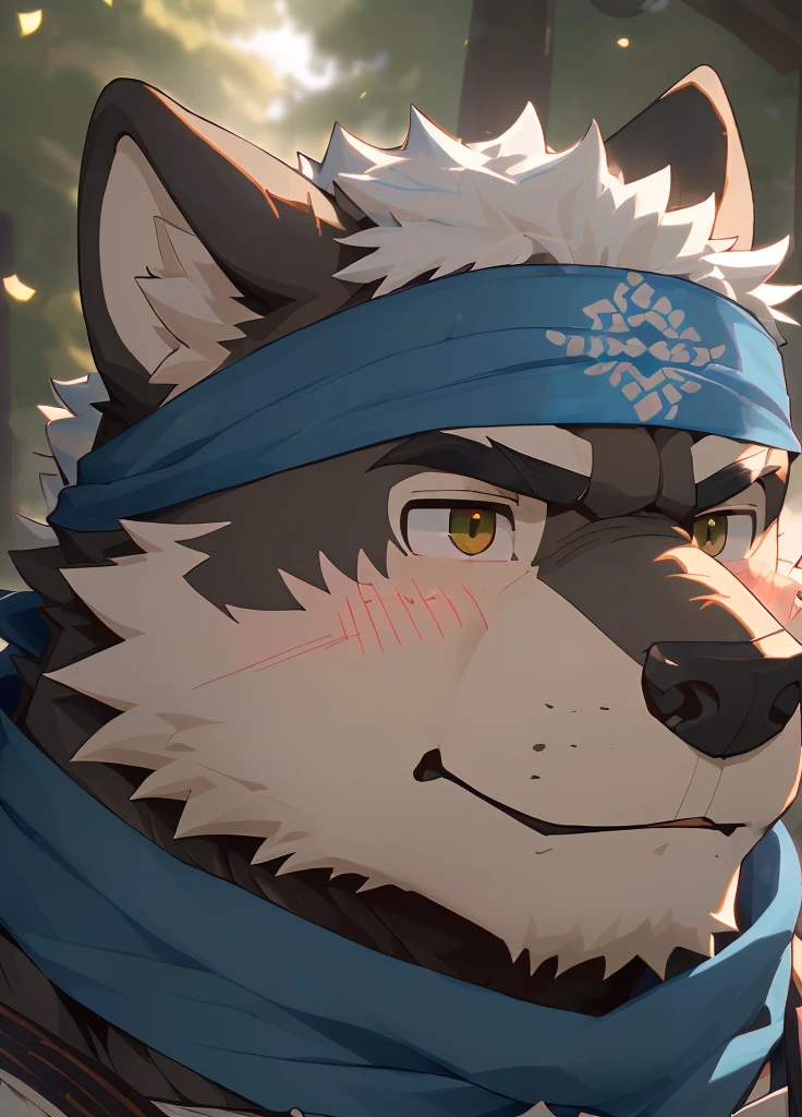 (masterpiece)，(Very detailed)，(best quality)，hairy，Wolf，Dark black fur，white hair，Gray pupil，Muscular，(Japan samurai attire)，((blue scarf))，((Brown headband))，(blush:1.1)，((sluggish:1.3))，((Ultra HD close-up:1.4))，8K，(high quality)，(Ultra high quality)，(Super detailed)，(Best Works)