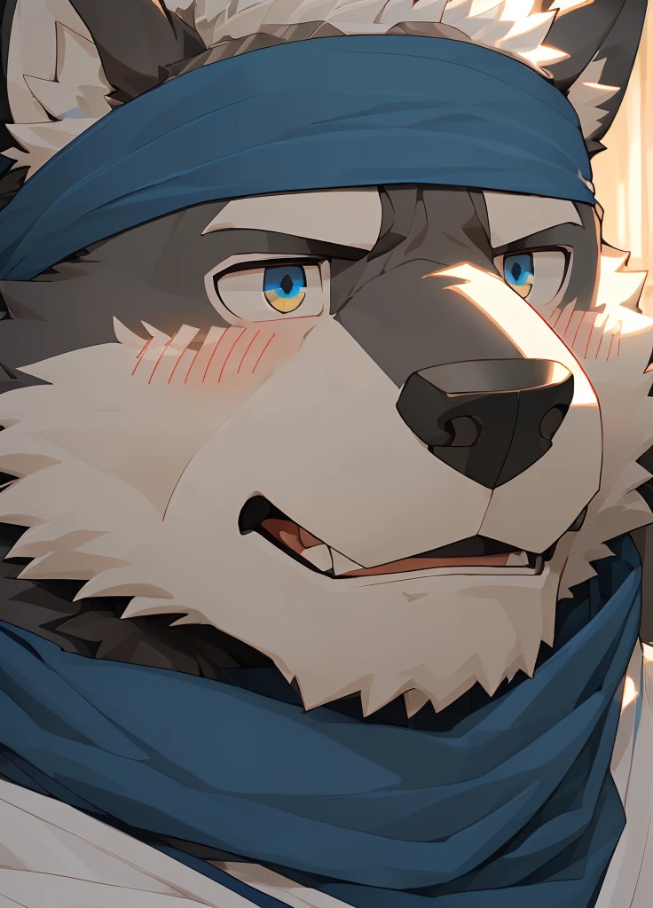 (masterpiece),(Very detailed),(best quality),hairy,Wolf,Dark black fur,white hair,Gray pupil,Muscular,(Japan samurai attire),((blue scarf)),((Brown headband)),(blush:1.1),((A daze expression:1.2)),((Loading:1.3)),((Ultra HD close-up:1.4)),8K,(high quality),(Ultra high quality),(Super detailed),(Best Works)