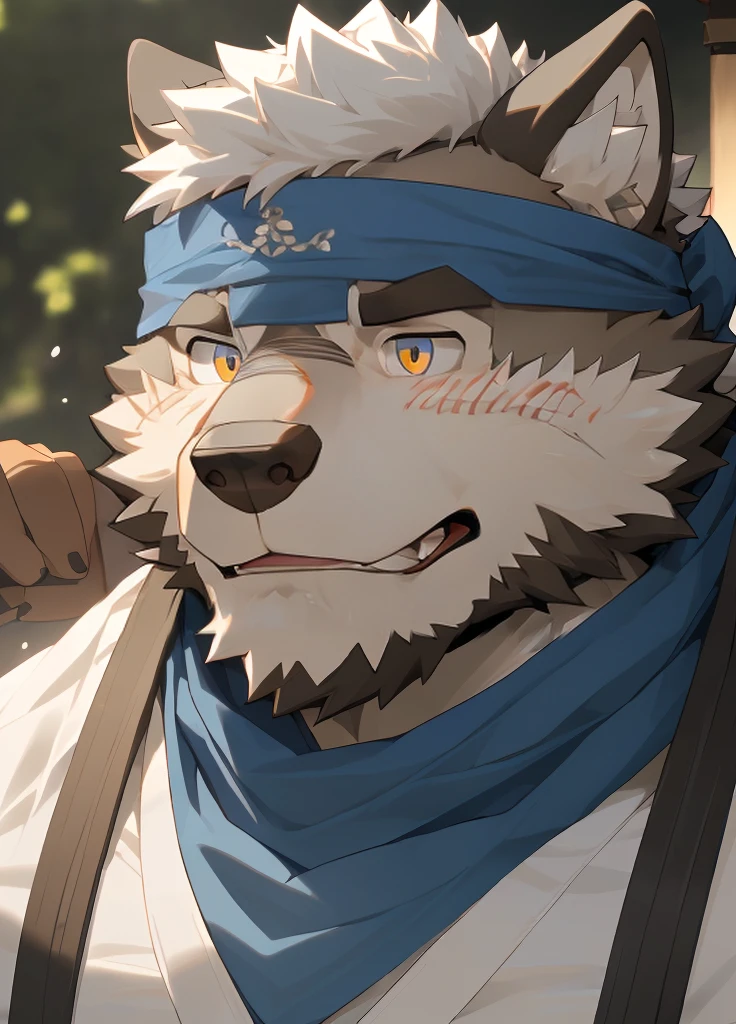 (masterpiece)，(Very detailed)，(best quality)，hairy，Wolf，Dark black fur，white hair，Gray pupil，Muscular，(Japan samurai attire)，((blue scarf))，((Brown headband))，(blush:1.1)，((A daze expression:1.2))，((Loading:1.3))，((Ultra HD close-up:1.4))，8K，(high quality)，(Ultra high quality)，(Super detailed)，(Best Works)