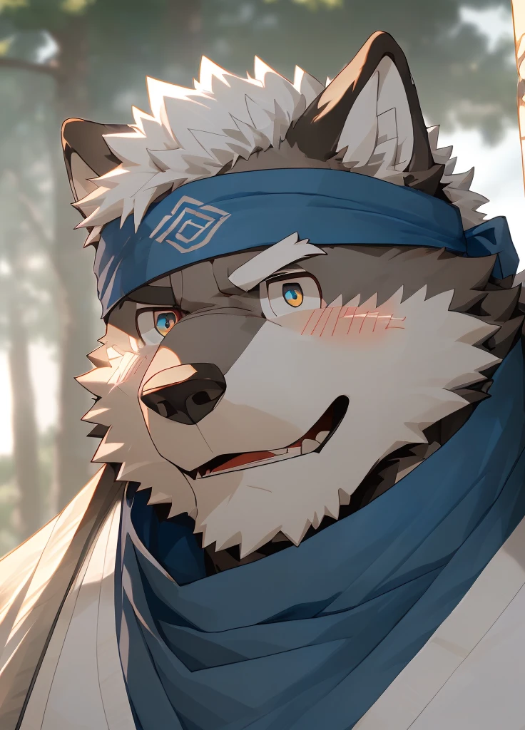 (masterpiece),(Very detailed),(best quality),hairy,Wolf,Dark black fur,white hair,Gray pupil,Muscular,(Japan samurai attire),((blue scarf)),((Brown headband)),(blush:1.1),((A daze expression:1.2)),((load:1.3)),((Ultra HD close-up:1.4)),8K,(high quality),(Ultra high quality),(Super detailed),(Best Works)