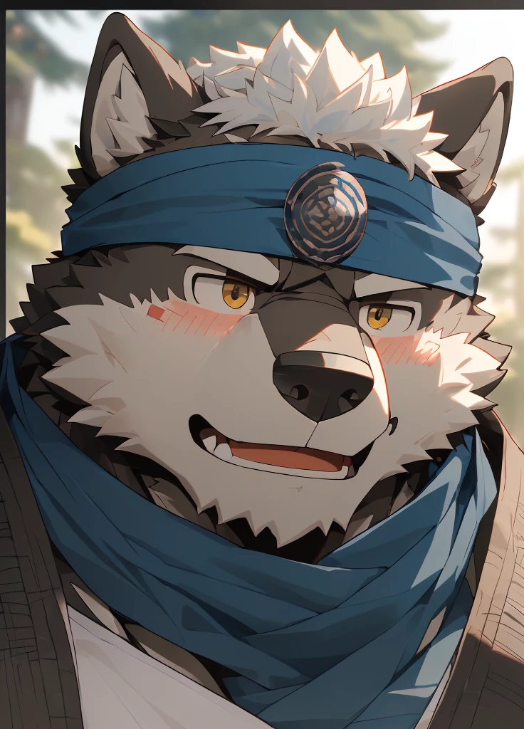 (masterpiece)，(Very detailed)，(best quality)，hairy，Wolf，Dark black fur，white hair，Gray pupil，Muscular，(Japan samurai attire)，((blue scarf))，((Brown headband))，(blush:1.1)，((A daze expression:1.2))，((load:1.3))，((Ultra HD close-up:1.4))，8K，(high quality)，(Ultra high quality)，(Super detailed)，(Best Works)