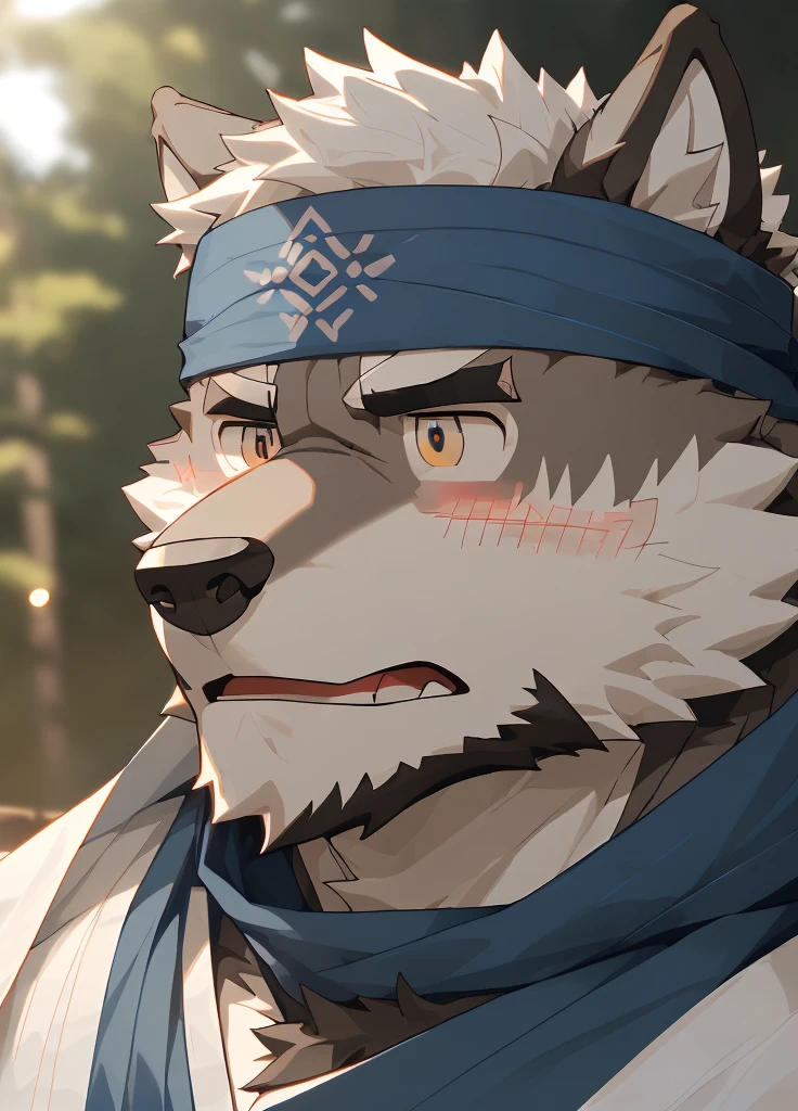 (masterpiece)，(Very detailed)，(best quality)，hairy，Wolf，Dark black fur，white hair，Black eyebrows，Gray pupil，Muscular，(Japan samurai attire)，((blue scarf))，((Brown headband))，(blush:1.1)，((Stunned expression:1.3))，((Loading Symbols))，((Ultra HD close-up:1.4))，8K，(high quality)，(Ultra high quality)，(Super detailed)，(Best Works)