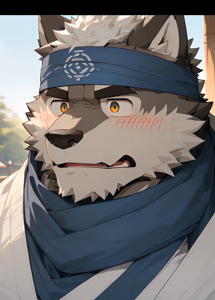 (masterpiece)，(Very detailed)，(best quality)，hairy，Wolf，Dark black fur，white hair，Black eyebrows，Gray pupil，Muscular，(Japan samurai attire)，((blue scarf))，((Brown headband))，(blush:1.1)，((Stunned expression:1.3))，((Loading Symbols))，((Ultra HD close-up:1.4))，8K，(high quality)，(Ultra high quality)，(Super detailed)，(Best Works)