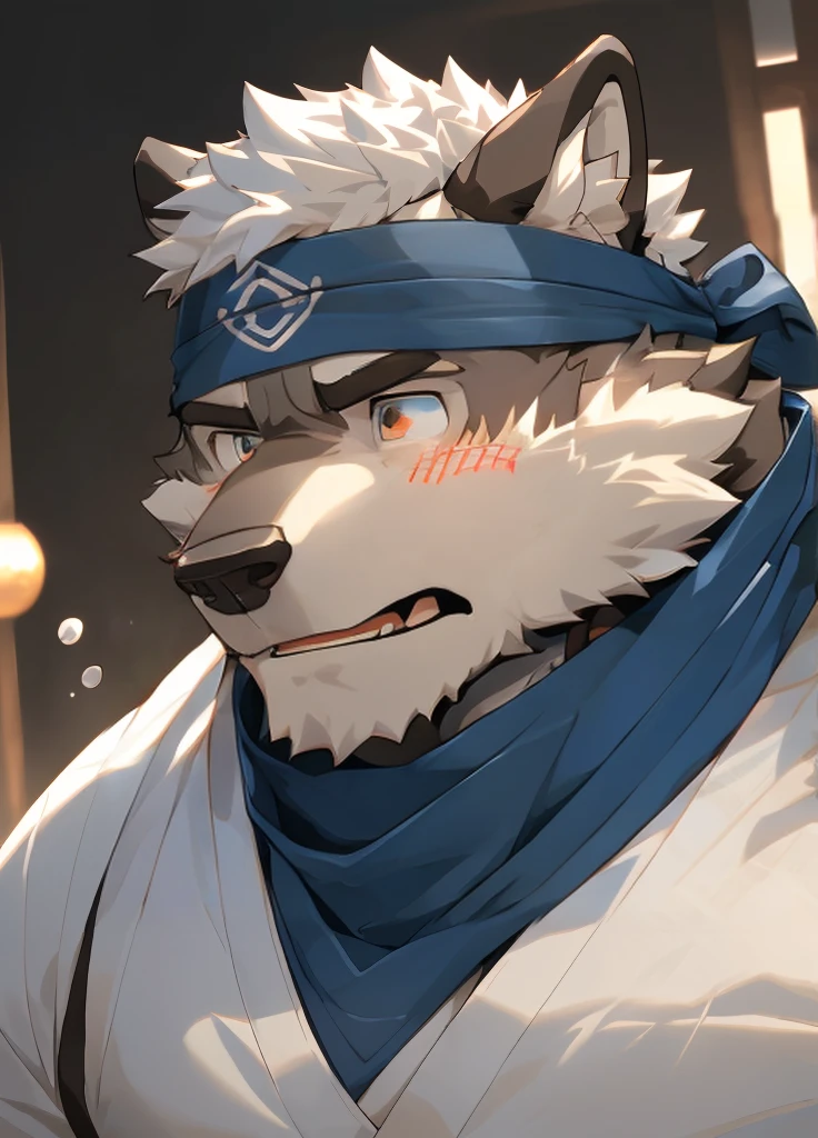 (masterpiece),(Very detailed),(best quality),hairy,Wolf,Dark black fur,white hair,Black eyebrows,Gray pupil,Muscular,(Japan samurai attire),((blue scarf)),((Brown headband)),(blush:1.1),((Stunned expression:1.3)),((Loading Symbols)),((Ultra HD close-up:1.4)),8K,(high quality),(Ultra high quality),(Super detailed),(Best Works)