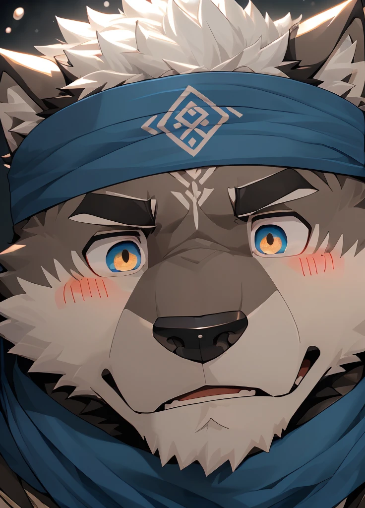 (masterpiece),(Very detailed),(best quality),hairy,Wolf,Dark black fur,white hair,Black eyebrows,Gray pupil,Muscular,(Japan samurai attire),((blue scarf)),((Brown headband)),(blush:1.1),((Stunned expression:1.3)),((Loading Symbols)),((Ultra HD close-up:1.4)),8K,(high quality),(Ultra high quality),(Super detailed),(Best Works)