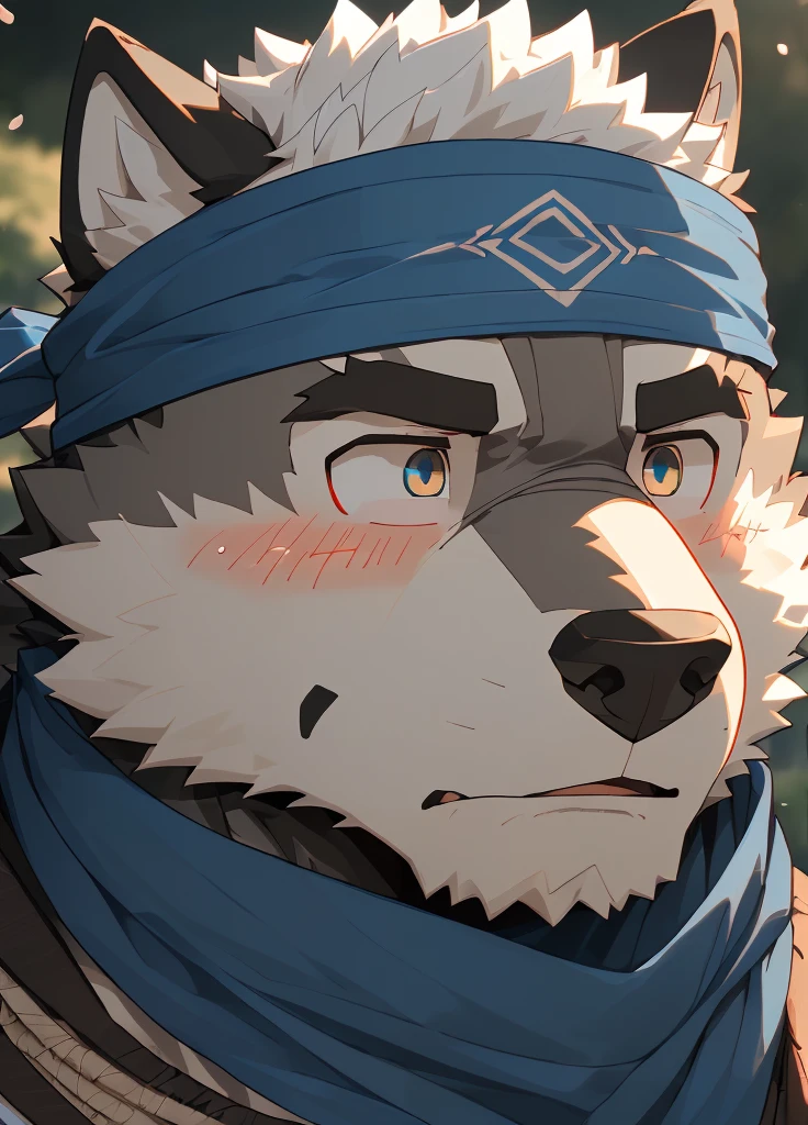 (masterpiece),(Very detailed),(best quality),hairy,Wolf,Dark black fur,white hair,Black eyebrows,Gray pupil,Muscular,(Japan samurai attire),((blue scarf)),((Brown headband)),(blush:1.1),((Stunned expression:1.3)),((Loading Symbols)),((Ultra HD close-up:1.4)),8K,(high quality),(Ultra high quality),(Super detailed),(Best Works)