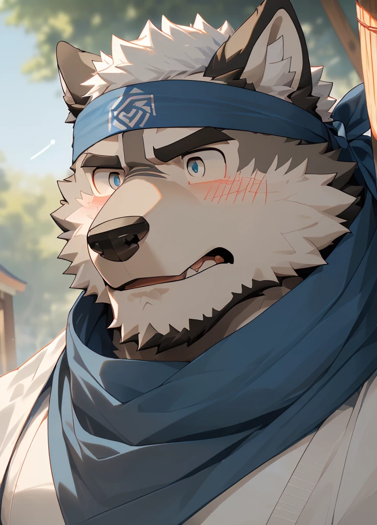 (masterpiece),(Very detailed),(best quality),hairy,Wolf,Dark black fur,white hair,Black eyebrows,Gray pupil,Muscular,(Japan samurai attire),((blue scarf)),((Brown headband)),(blush:1.1),((Stunned expression:1.3)),((Loading Symbols)),((Ultra HD close-up:1.4)),8K,(high quality),(Ultra high quality),(Super detailed),(Best Works)