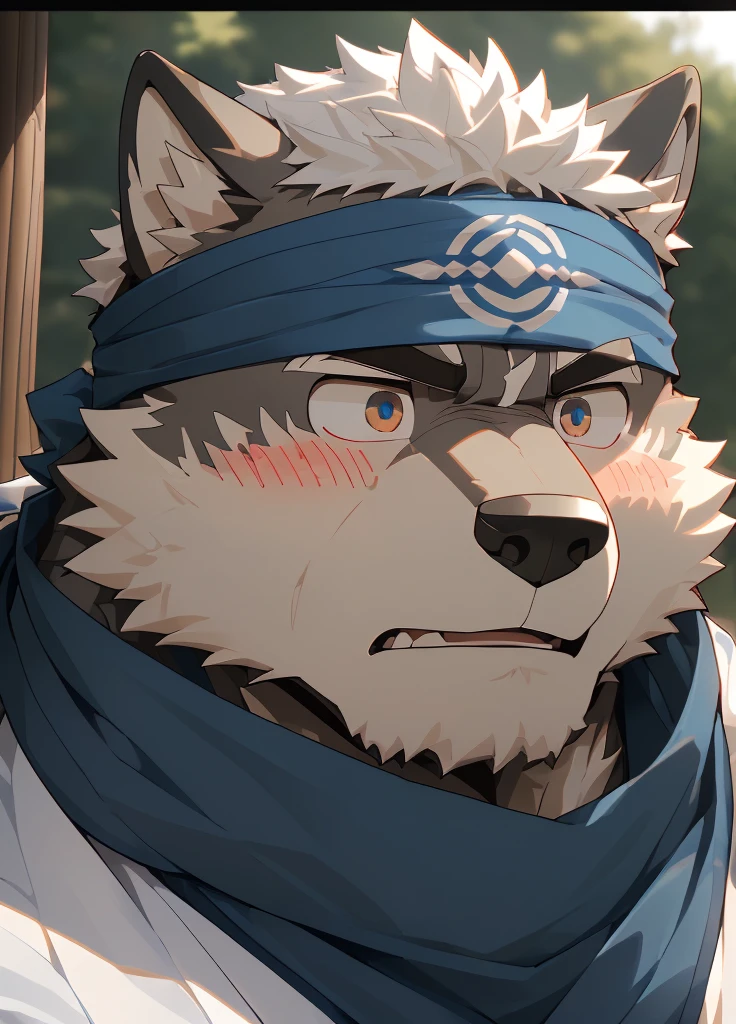 (masterpiece),(Very detailed),(best quality),hairy,Wolf,Dark black fur,white hair,Black eyebrows,Gray pupil,Muscular,(Japan samurai attire),((blue scarf)),((Brown headband)),(blush:1.1),((Stunned expression:1.3)),((Loading Symbols)),((Ultra HD close-up:1.4)),8K,(high quality),(Ultra high quality),(Super detailed),(Best Works)