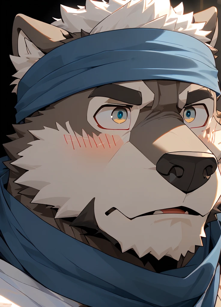 (masterpiece)，(Very detailed)，(best quality)，hairy，Wolf，Dark black fur，white hair，Black eyebrows，Gray pupil，Muscular，(Japan samurai attire)，((blue scarf))，((Brown headband))，(blush:1.1)，((Stunned expression:1.3))，((Loading Symbols))，((Ultra HD close-up:1.4))，8K，(high quality)，(Ultra high quality)，(Super detailed)，(Best Works)