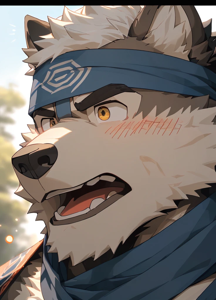 (masterpiece)，(Very detailed)，(best quality)，hairy，Wolf，Dark black fur，white hair，Black eyebrows，Gray pupil，Muscular，(Japan samurai attire)，((blue scarf))，((Brown headband))，(blush:1.1)，((Stunned expression:1.3))，((Open your mouth))，(Shock)，((Ultra HD close-up:1.4))，8K，(high quality)，(Ultra high quality)，(Super detailed)，(Best Works)