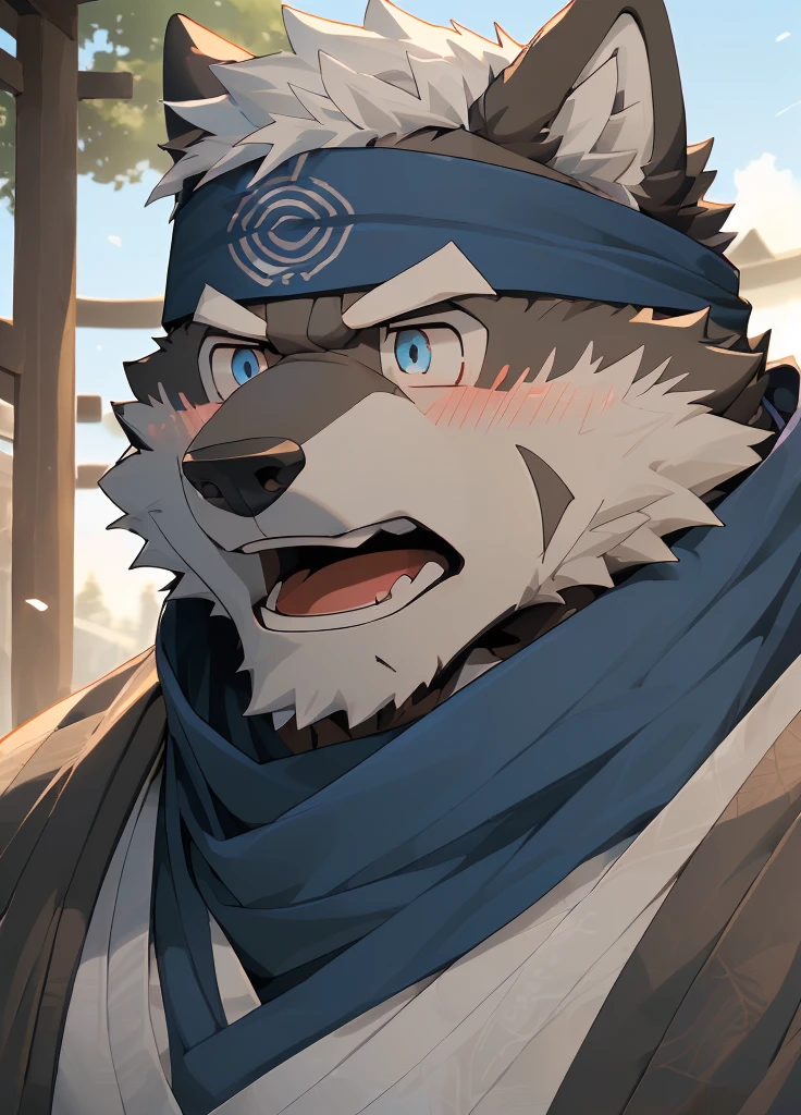 (masterpiece),(Very detailed),(best quality),hairy,Wolf,Dark black fur,white hair,Black eyebrows,Gray pupil,Muscular,(Japan samurai attire),((blue scarf)),((Brown headband)),(blush:1.1),((Stunned expression:1.3)),((Open your mouth)),(Shock),((Ultra HD close-up:1.4)),8K,(high quality),(Ultra high quality),(Super detailed),(Best Works)