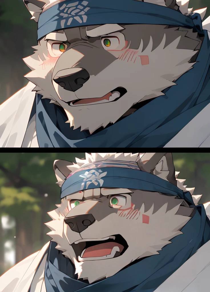 (masterpiece)，(Very detailed)，(best quality)，hairy，Wolf，Dark black fur，white hair，Black eyebrows，Gray pupil，Muscular，(Japan samurai attire)，((blue scarf))，((Brown headband))，(blush:1.1)，((Stunned expression:1.3))，((Open your mouth))，(Shock)，((Ultra HD close-up:1.4))，8K，(high quality)，(Ultra high quality)，(Super detailed)，(Best Works)