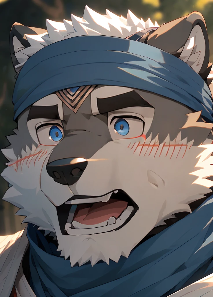 (masterpiece)，(Very detailed)，(best quality)，hairy，Wolf，Dark black fur，white hair，Black eyebrows，Gray pupil，Muscular，(Japan samurai attire)，((blue scarf))，((Brown headband))，(blush:1.1)，((Stunned expression:1.3))，((Open your mouth))，(Shock)，((Ultra HD close-up:1.4))，8K，(high quality)，(Ultra high quality)，(Super detailed)，(Best Works)