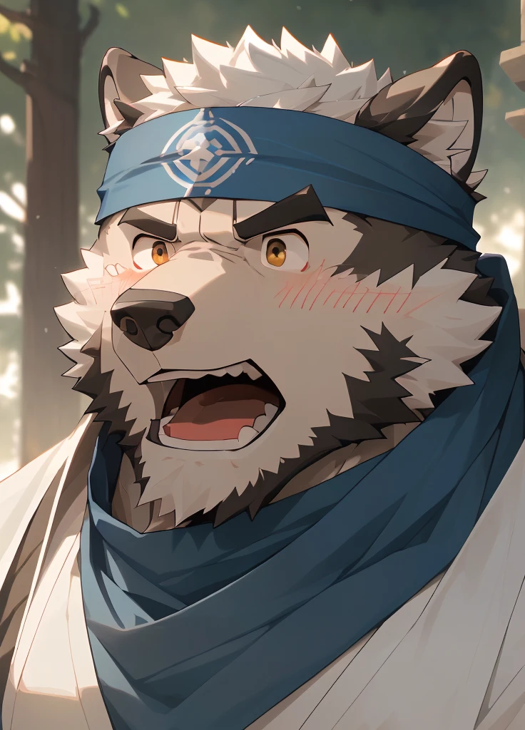 (masterpiece),(Very detailed),(best quality),hairy,Wolf,Dark black fur,white hair,Black eyebrows,Gray pupil,Muscular,(Japan samurai attire),((blue scarf)),((Brown headband)),(blush:1.1),((Stunned expression:1.3)),((Open your mouth)),(Shock),((Ultra HD close-up:1.4)),8K,(high quality),(Ultra high quality),(Super detailed),(Best Works)